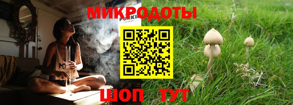 Павлово  Псилоцибиновые грибы ЛСД  Вход с VPN 