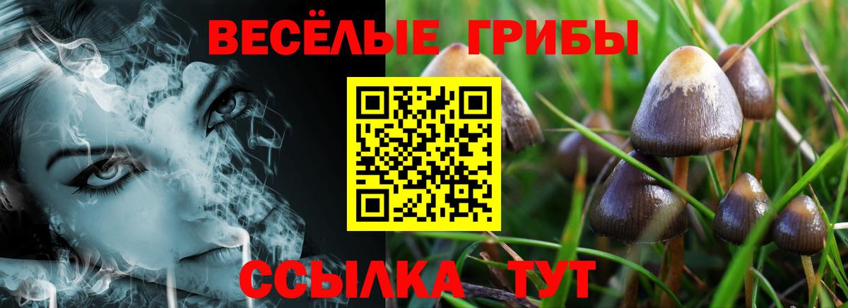 Галлюциногенные грибы GOLDEN TEACHER Павлово